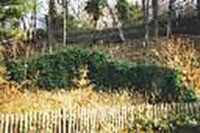 Arbeiten am Jan-Wellem-Brunnen im Grafenberger Wald (Bild 1)